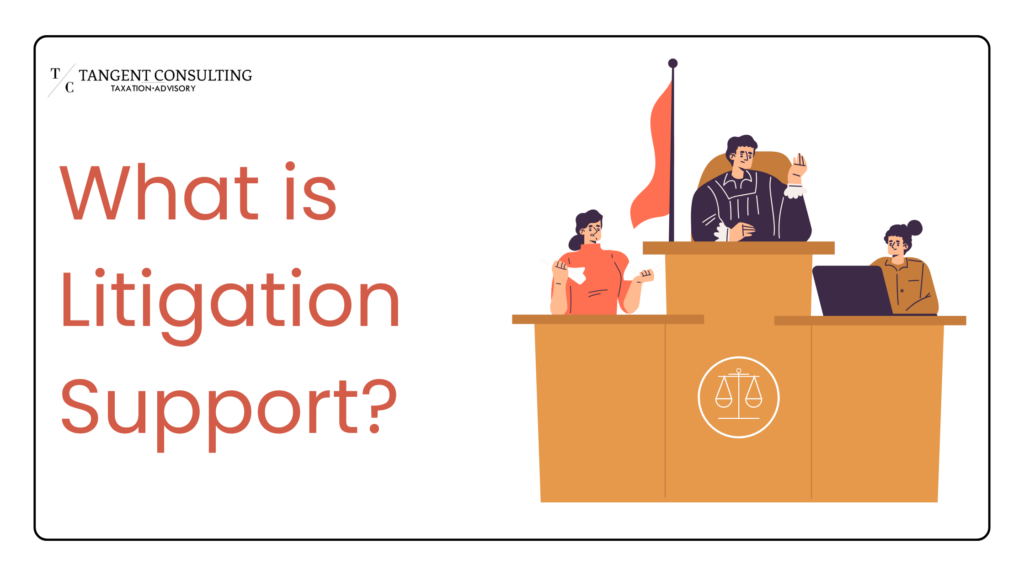 What is Litigation Support?