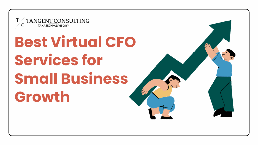 Virtual CFO Services